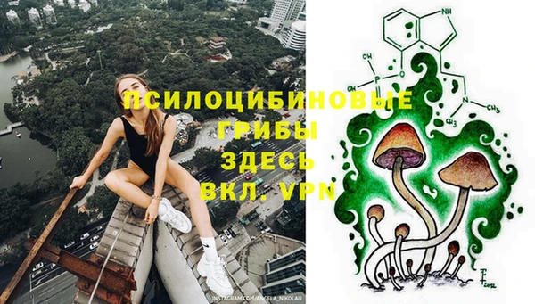 стаф Наволоки